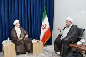 دیدار سفیر جمهوری اسلامی ایران در واتیکان با آیت‌ الله اراکی